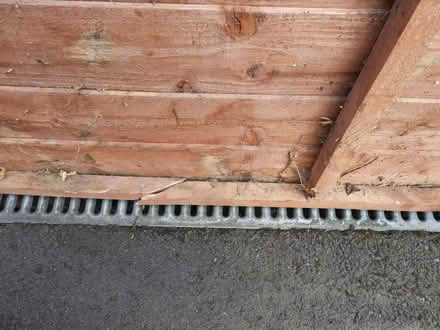 Photo of free Shed panel and door (Allestree DE22) #4