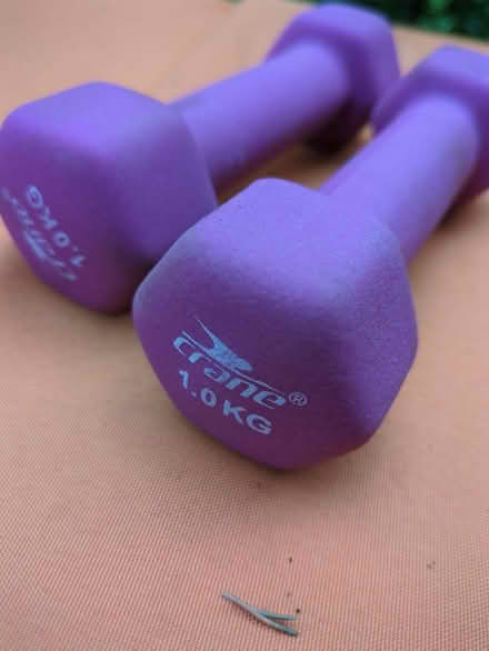 Photo of free 1kg weights (Bengeo, Hertford SG14) #1