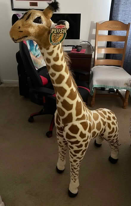 Photo of free Tall giraffe plush (Sample n lyons) #1