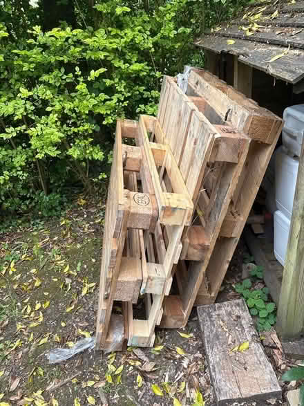 Photo of free 4 pallets (Radnage HP14) #1