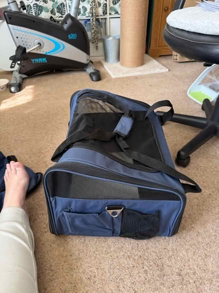 Photo of free Small pet carrier (BH8 Bournemouth) #4