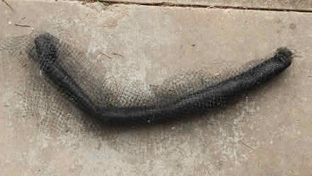 Photo of free Garden mesh (Kirkwood) #1