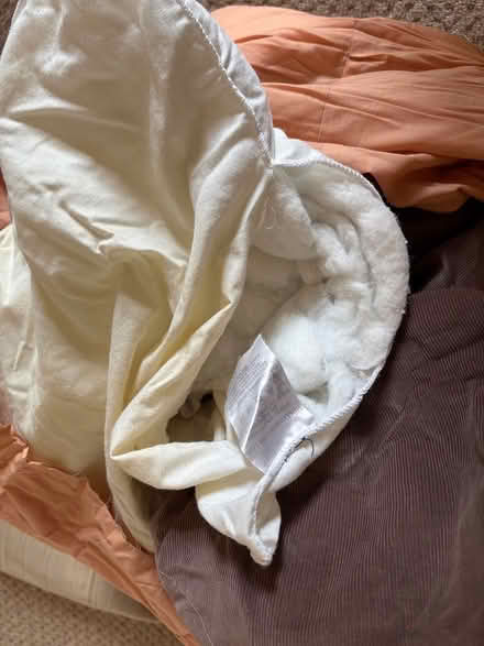 Photo of free Thick Fabric & Stuffing (Keighley BD20) #3