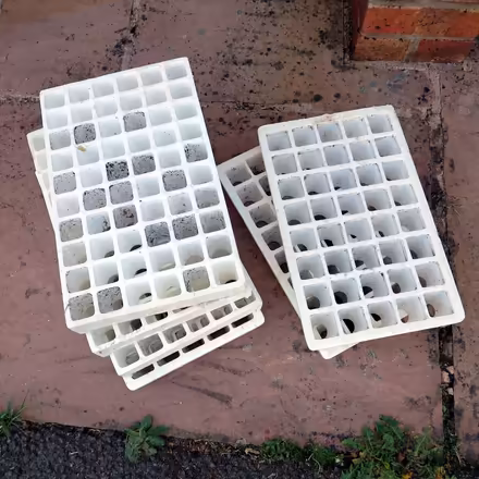 Photo of free Plug plant trays (Llandrindod LD1) #1