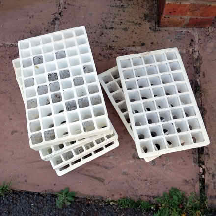Photo of free Plug plant trays (Llandrindod LD1) #1