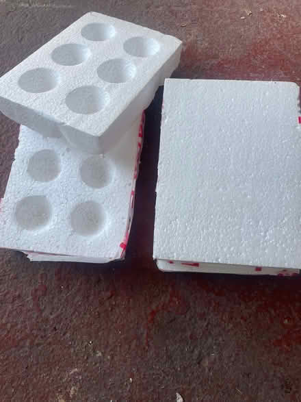 Photo of free Incubator ready egg carriers (Dutton PR3) #1