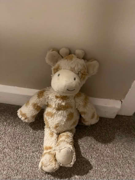 Photo of Giraffe Teddy (Welwyn Garden City, AL7) #1