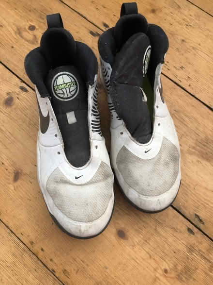 Photo of free Nike Teamhustle hightops (Bear Flat) #1