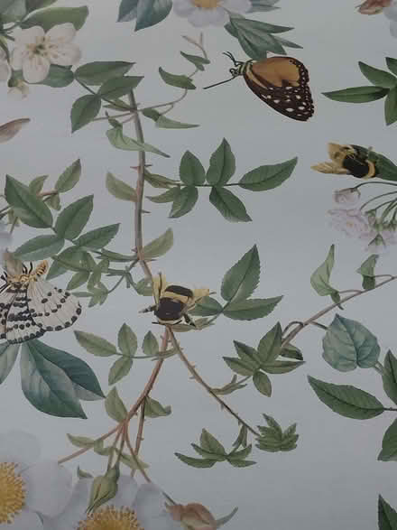 Photo of free Wallpaper samples (Sale M33) #3