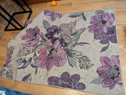 Photo of free Rugs (Colchester CO1) #2