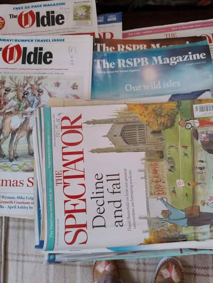 Photo of free Oldie, Spectator and RSPB magazines (Bridlington YO15) #1