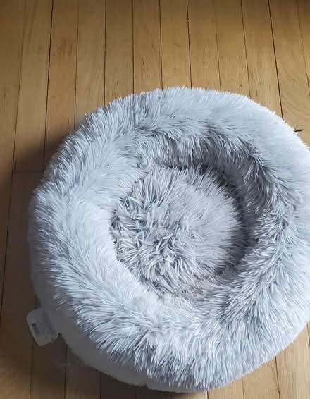 Photo of free Pet bed medium (Springfield - Scenic Hills) #1
