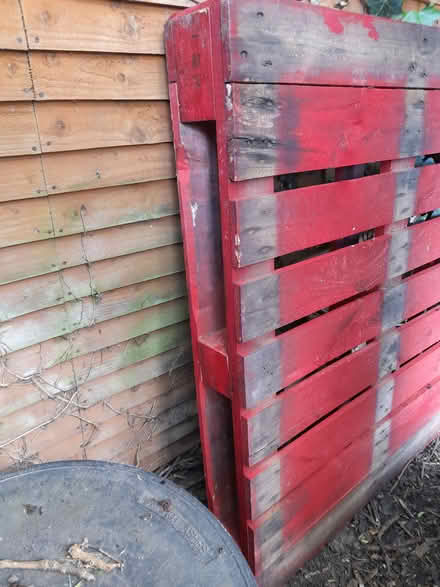 Photo of free Pallet (Loughborough) #2
