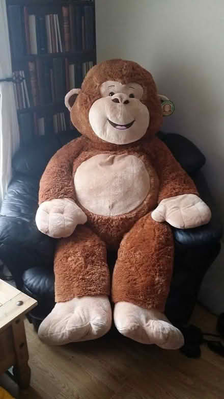 Photo of free Large 5ft monkey (Easthampstead RG12) #1