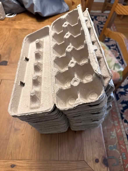 Photo of free Egg cartons (Hintonburg) #1