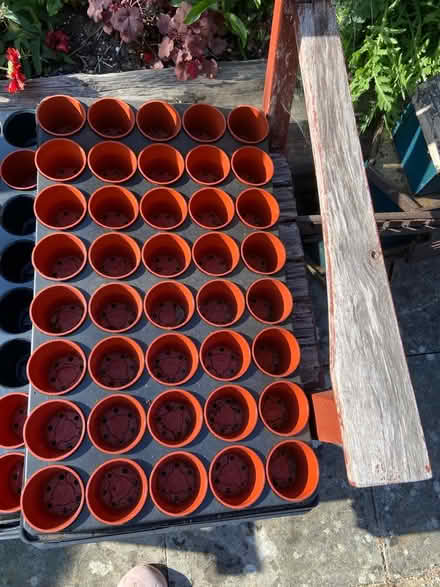 Photo of free Selection of trays & Pots (Hucclecote GL3) #2