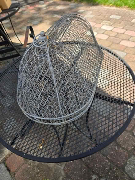 Photo of free cages for plants (off Fisher Blvd) #2