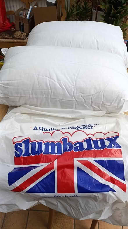 Photo of free Pillows (Snodland) #2