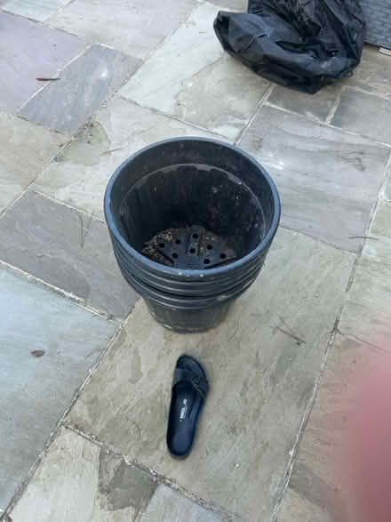 Photo of free 5 large black plant pots (Tonbridge) #2