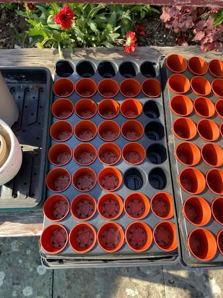 Photo of free Selection of trays & Pots (Hucclecote GL3) #3