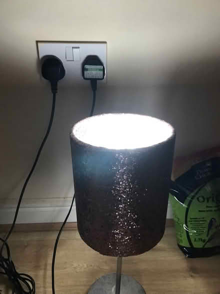 Photo of free Pink table lamp (CO2 berechurch) #2
