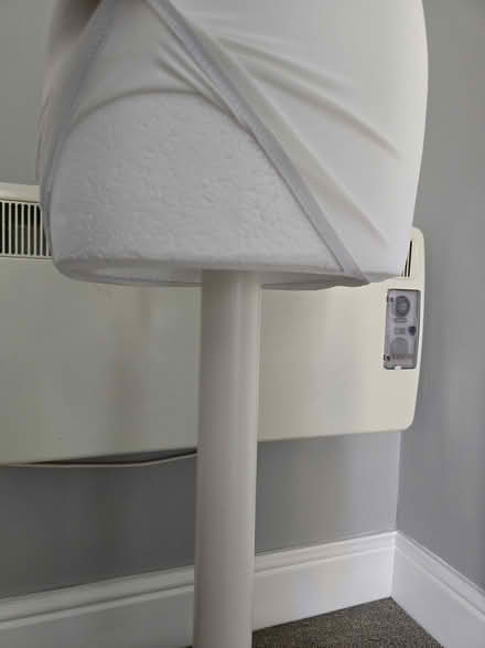 Photo of free Dress Making Mannequin (Bath) #2