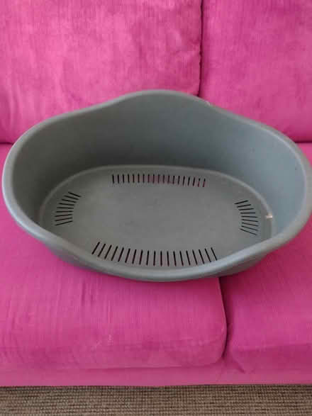 Photo of free Dog bed (Macclesfield SK11) #1