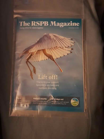Photo of free Magazine/catalogue protection bags (Hereford HR1 4) #1