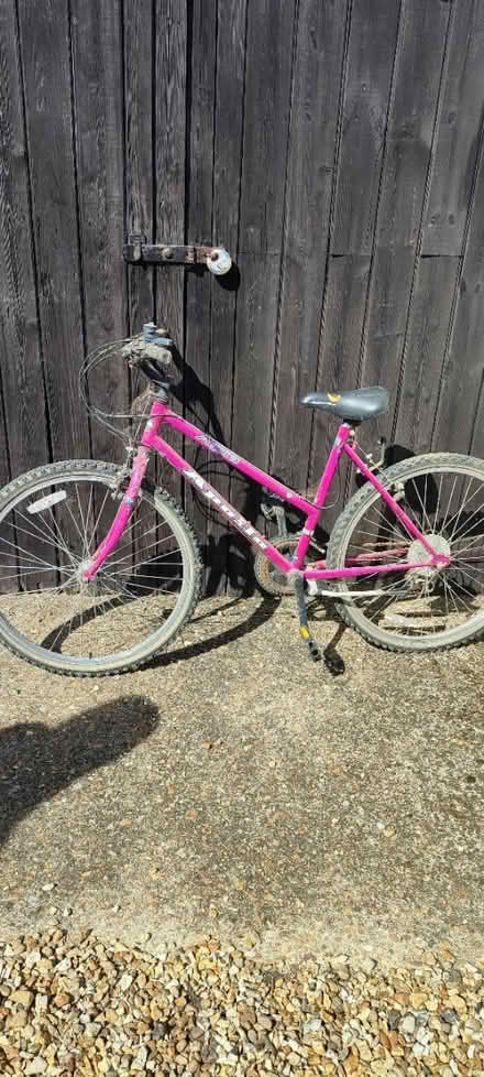 Photo of free Bike (pink) (Cb24) #1