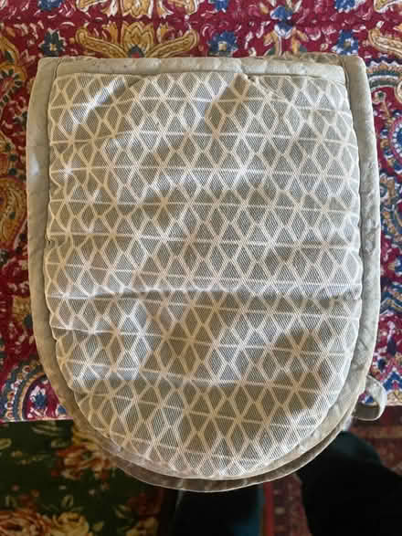 Photo of free Oven Gloves (Lakenham NR1) #3