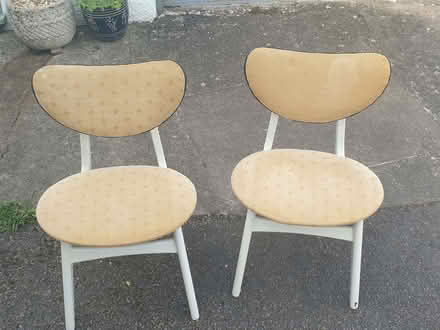 Photo of free Dining chairs (North Somerset BS8) #1