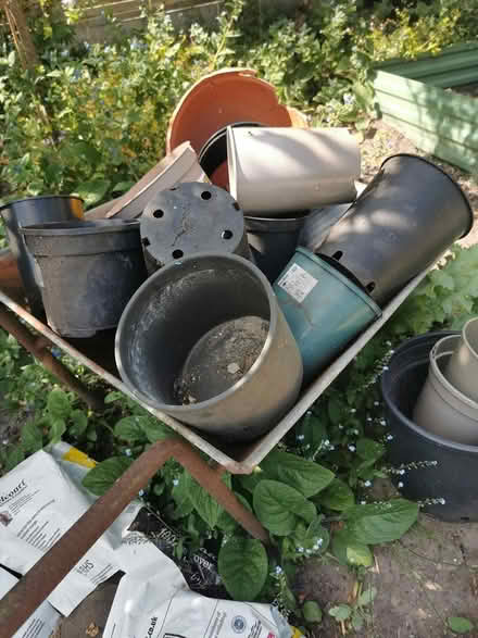 Photo of free Assorted pots. Not wheelbarrow (Withington M20) #2