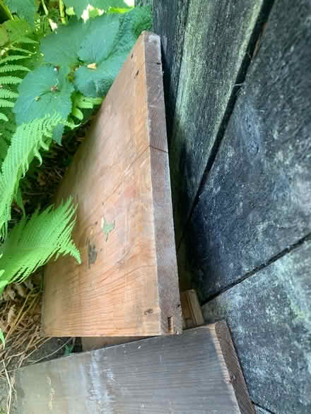 Photo of free Hardwood timber (Hulme M16) #4