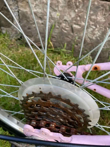 Photo of free Girls Bike Age 4 - 8 (Hinchley Wood KT10) #2