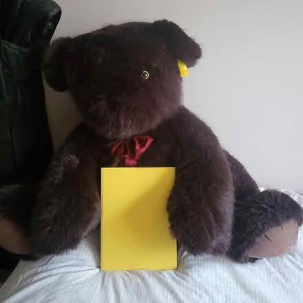 Photo of free Large bear (Lucan) #1