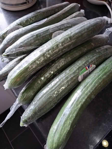 Photo of free Cucumbers (Stantonbury, MK14) #1