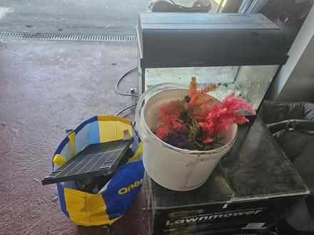 Photo of free Fish tank and accessories (Paignton) #1