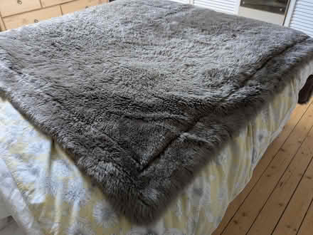 Photo of free Fake fur throw (Woodstock OX20) #1