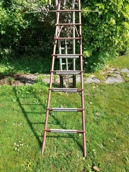 Photo of free Ladder (Malvern Link WR14) #1