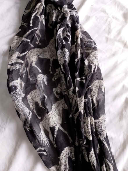 Photo of free horse scarf (Fords Farm RG31) #1