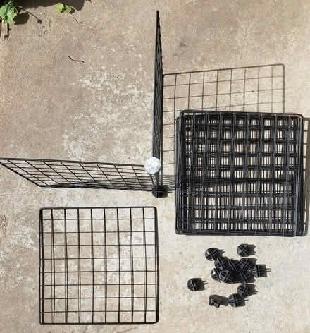 Photo of free Guinea pigs cage (Kirkwood) #1