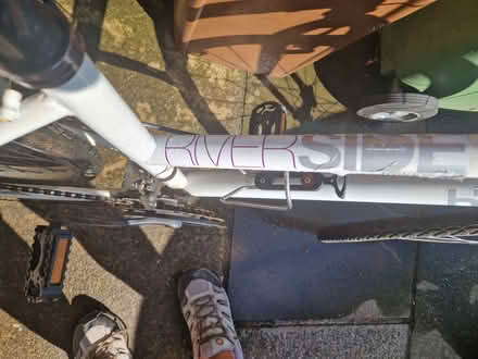 Photo of free Ladies cycle (Sk8 5nd) #3