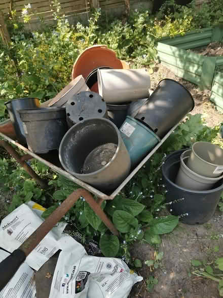 Photo of free Assorted pots. Not wheelbarrow (Withington M20) #1