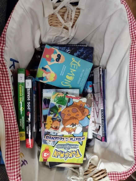 Photo of free Basket of Kid's Books (Near TMH) #1