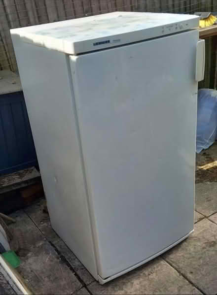 Photo of free Larder/Upright freezer (Broadbridge Heath) #1
