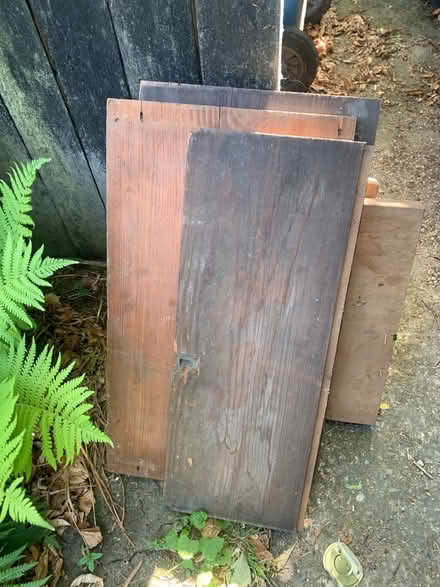 Photo of free Hardwood timber (Hulme M16) #3