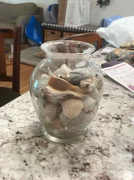 Photo of free Vase with shell collection (Middletown) #1