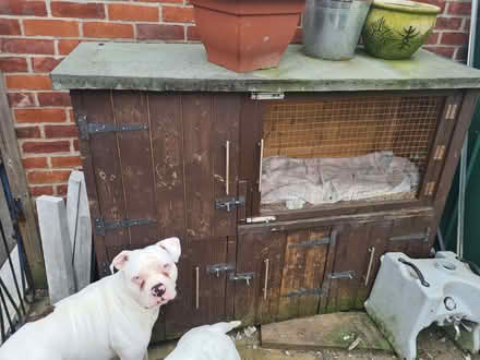 Photo of free Rabbit hutch (Offerton SK2) #1