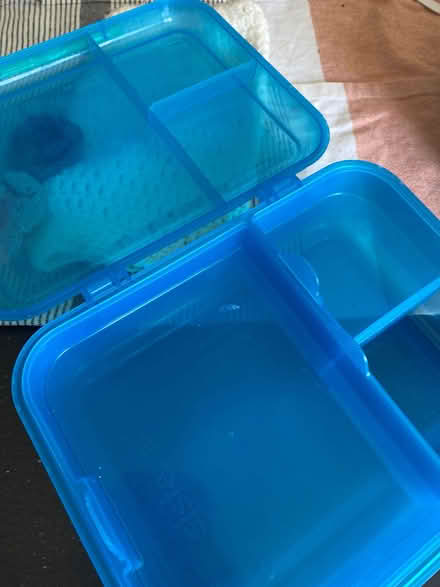 Photo of free Sistema lunchbox (Isleworth TW7) #1