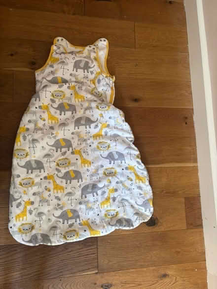 Photo of free Sleep bag for ages 1-2 (Kenilworth CV8) #1